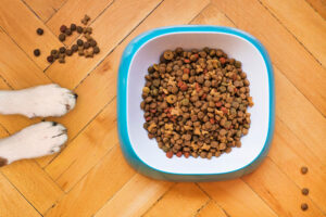 Top 5 dog food options when staying with pets at Shreveport LA rentals