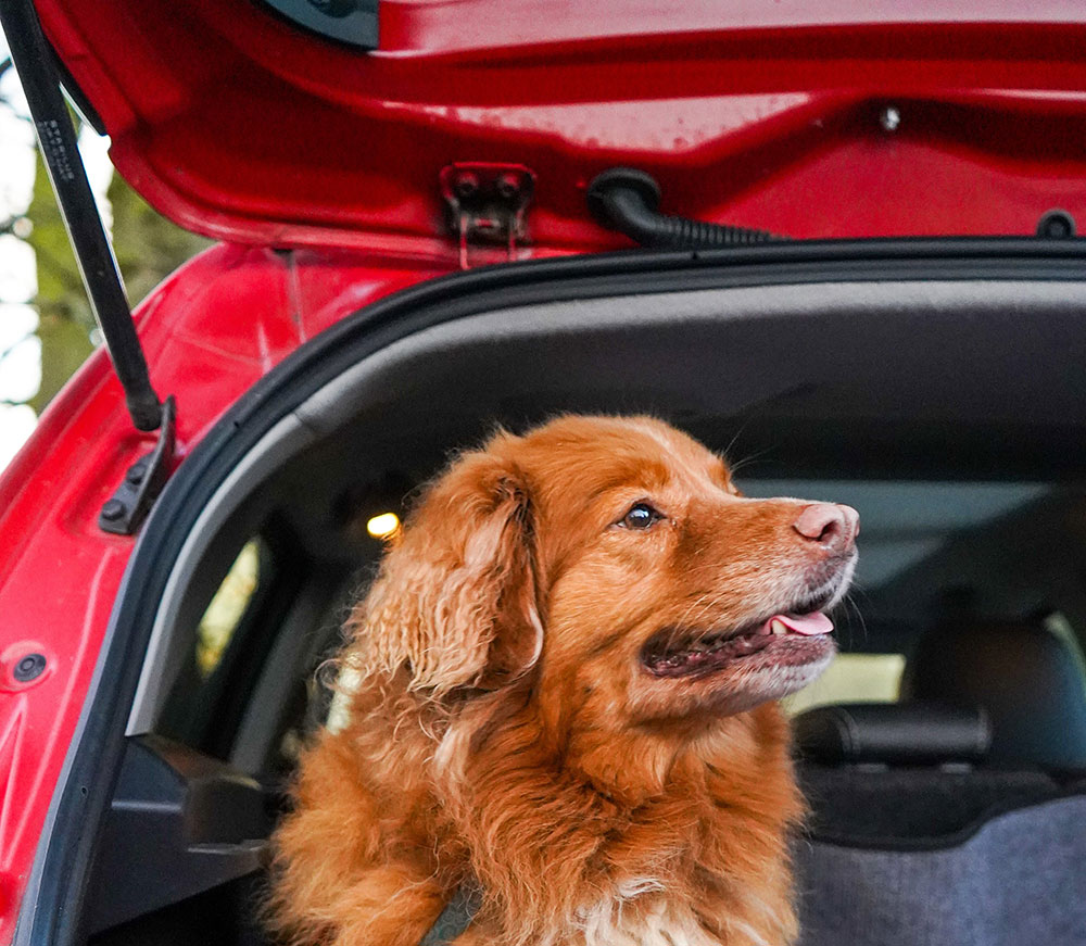 Shreveport LA Rentals How much can I fit in my car when moving?